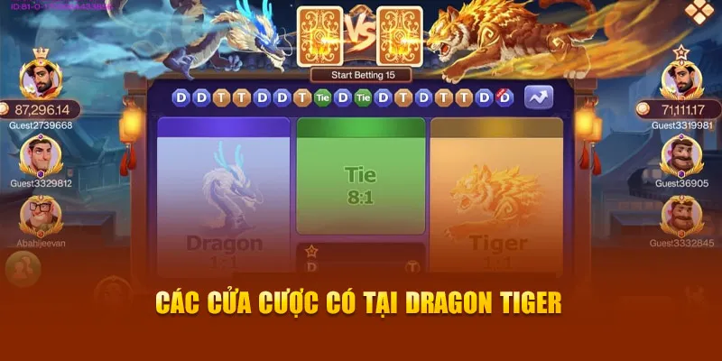 Các cửa cược có tại Dragon Tiger